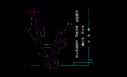【北京常见野花】NO4–紫玉兰