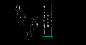 【北京常见野花】NO3–白玉兰