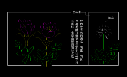 【北京常见野花】NO7–白头翁