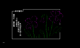 【北京常见野花】NO6–早开堇菜