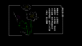 【北京常见野花】NO8–槭叶铁线莲（不常见）