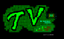 TV电视版进版