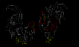 鸡x2