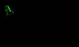 小恐龙