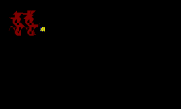 囍