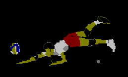 魚躍