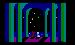 小猫看星星3