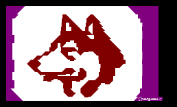 [图]Husky