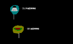 棒棒糖543-2