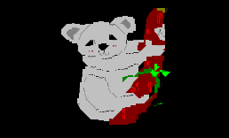 无尾熊