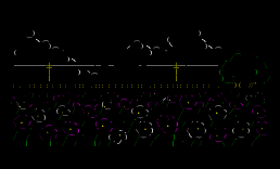Cosmos
