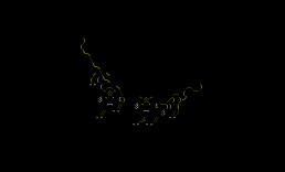 两只老虎
