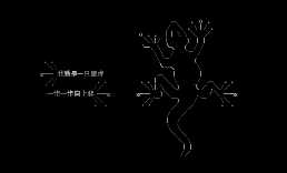 壁虎