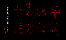 十载风华 信步向前