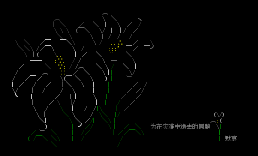 为逝去的人默哀@rygh离站