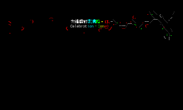 日月光华站十三周年站庆看板