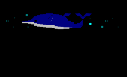[QMD]一只海豚
