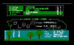 bloom 3月（bmy看版）