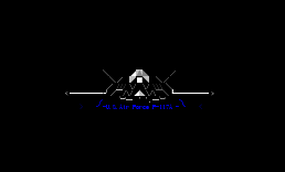 美国空军F117 2
