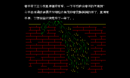 y迎春花