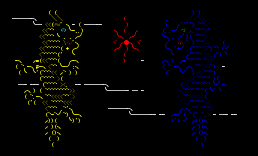 Dragon 1