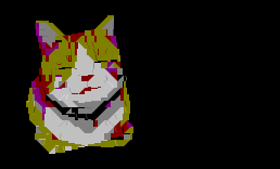 猫