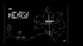 百花图鉴——木棉（淡彩版）