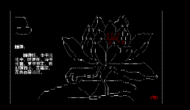 百花图鉴——睡莲