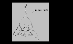 猫咪1