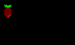 红萝卜