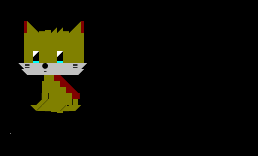 猫咪
